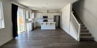 PET FRIENDLY Gallery 40
