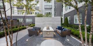 The Jones at Tysons Gallery 41