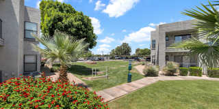 Esteban Park Gallery 25