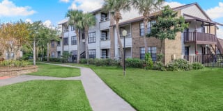 Millenium Cove Gallery 19