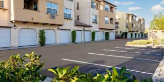 Paseos At Magnolia Luxury Apartment Homes Gallery 110
