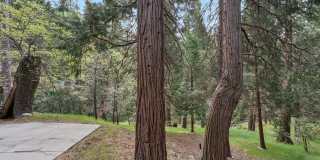 922 Berne Dr Gallery 22