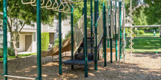 Sterling Heights Gallery 24