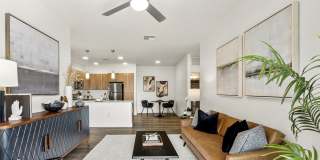 Amavida Marana Gallery 17