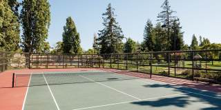 Mansion Grove Apartments Gallery 11