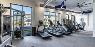 The Warner Gallery 17