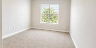 2425 W Bronco Butte Trail Gallery 14