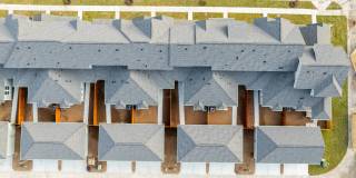 Mihir Taylor Gallery 36