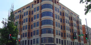 The Regent Gallery 20