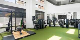 Cortland at Stonebriar Gallery 14