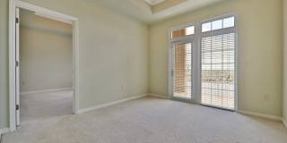 St Johns River Views! Gallery 11