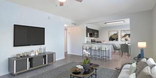 Mark-Hall Gallery 39