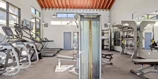 Sofi at Wood Ranch Gallery 21