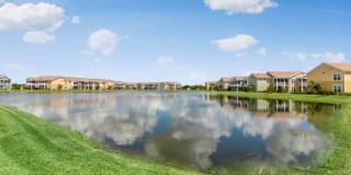 Springs at Tradition Gallery 23