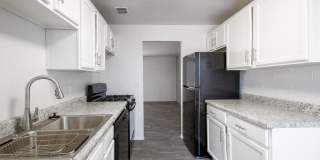 Icon on Stella Gallery 4