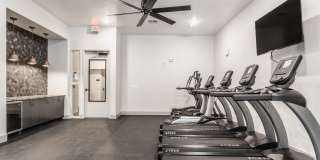 Lector 85 Gallery 26