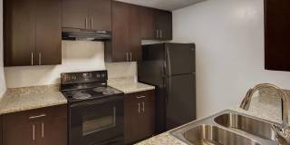 Hickory Run Gallery 16