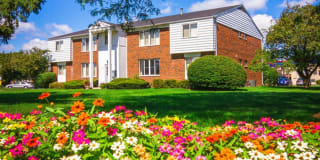 Harlo Apartments Gallery 4