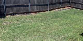 2819 Clifton Terrace 2819 Clifton Terrace Gallery 30