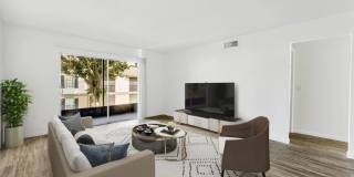 Las Palmas Gallery 22