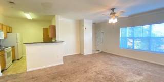 2 Bed 2 Bath 2nd Floor Condo (Palms of Cortez) Gallery 8