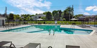 TGM Autumn Woods Gallery 18