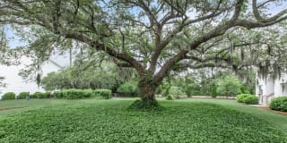 Arbor Trace Gallery 13