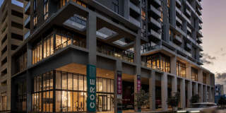 Core Link at Douglas Gallery 2