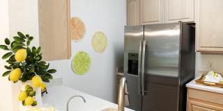 581 BRANTLEY TERRACE WAY Gallery 19