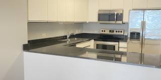 512 N McClurg Court Gallery 5