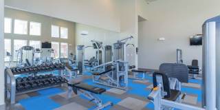 Century Palm Bluff Gallery 21