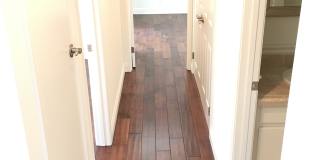 111 Tarocco Gallery 4