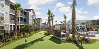 Standard441 Gallery 3