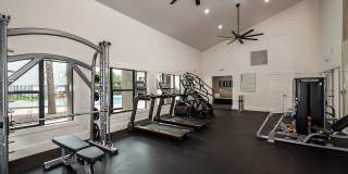 Cadia on the Loop Gallery 14