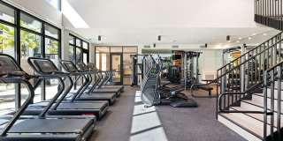 Avenue 34 Gallery 25