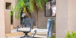 28914 Desert Princess Drive Gallery 2