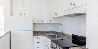 Silverado Garden Gallery 13