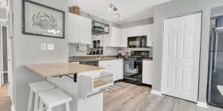 102 Pompano Dr SE - #C - Waterside at Coquina Key North Gallery 16