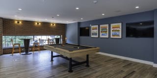 Arcade Sunshine Gallery 29