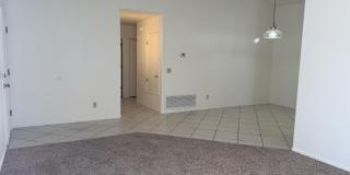 2946 W Ring Tail Drive Gallery 13