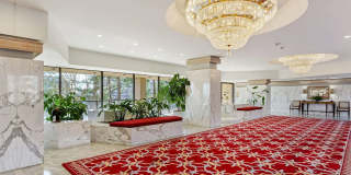 1101 South Arlington Ridge Road #806 Gallery 2