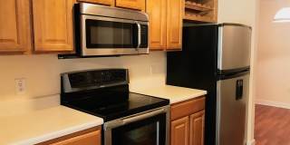 3 Bedroom, 2 Bath with Garage For Rent in New Tampa! Gallery 7