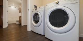 Radius Uptown Apartments Gallery 8