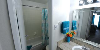 Wilshire Park Gallery 5