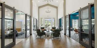 Ascend at Woodlands Gallery 131