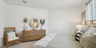 Tapestry Palmera Gallery 28