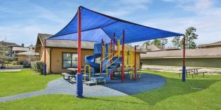 Hollow Tree Park Gallery 10