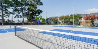 ReNew Towne Oaks Gallery 34