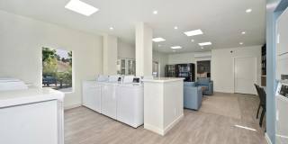 Silver Oak Gallery 23