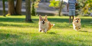 Hanna Village Apartments Gallery 18